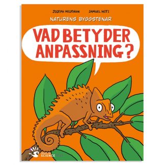 Vad betyder anpassning