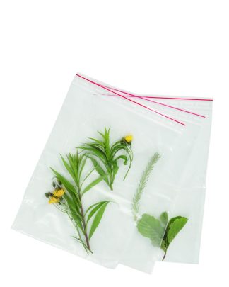 Växt-samlarpåsar 10 st