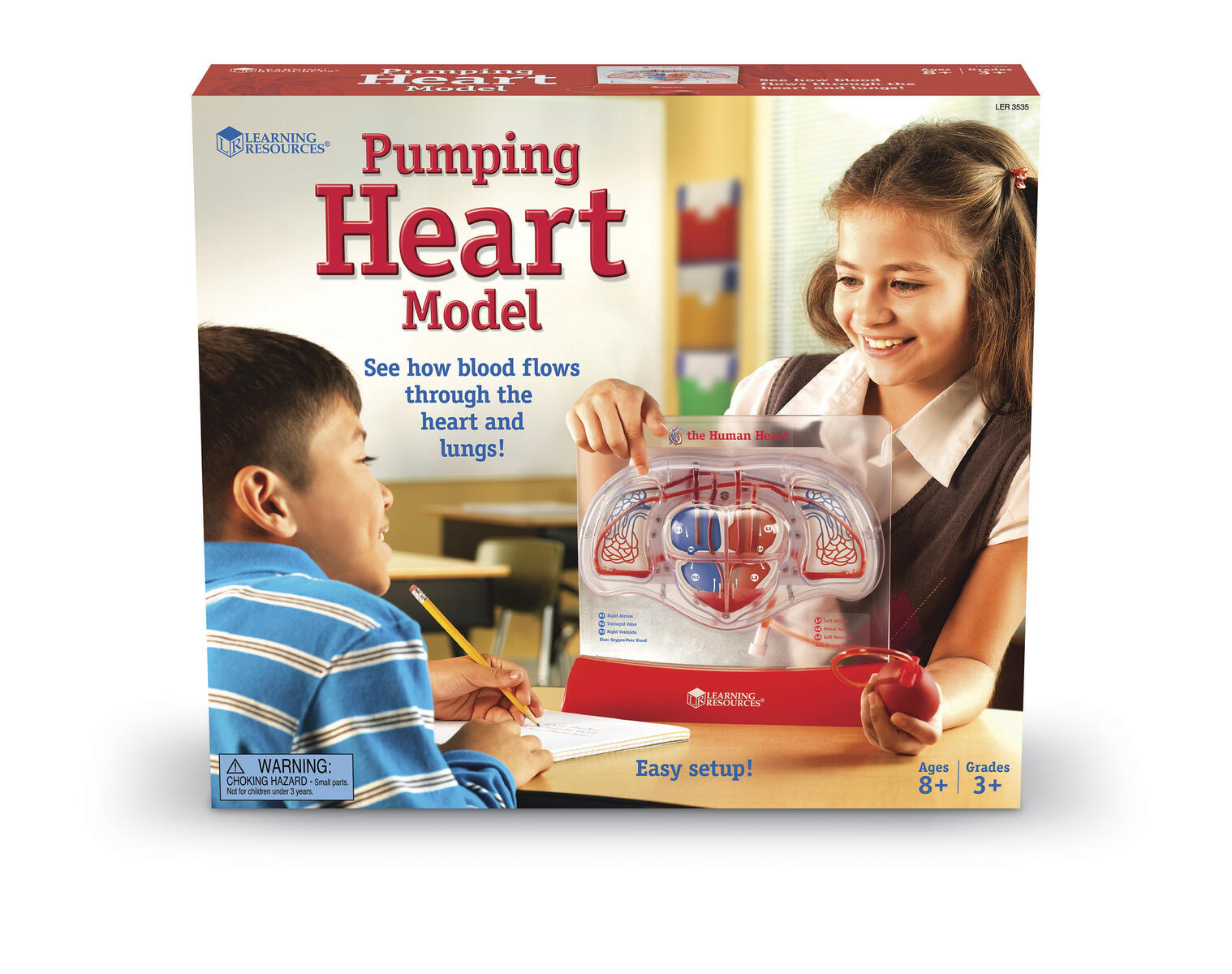 Pumpande Hjärta modell - Bild 2