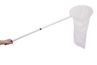 Insektshåv med teleskopskaft