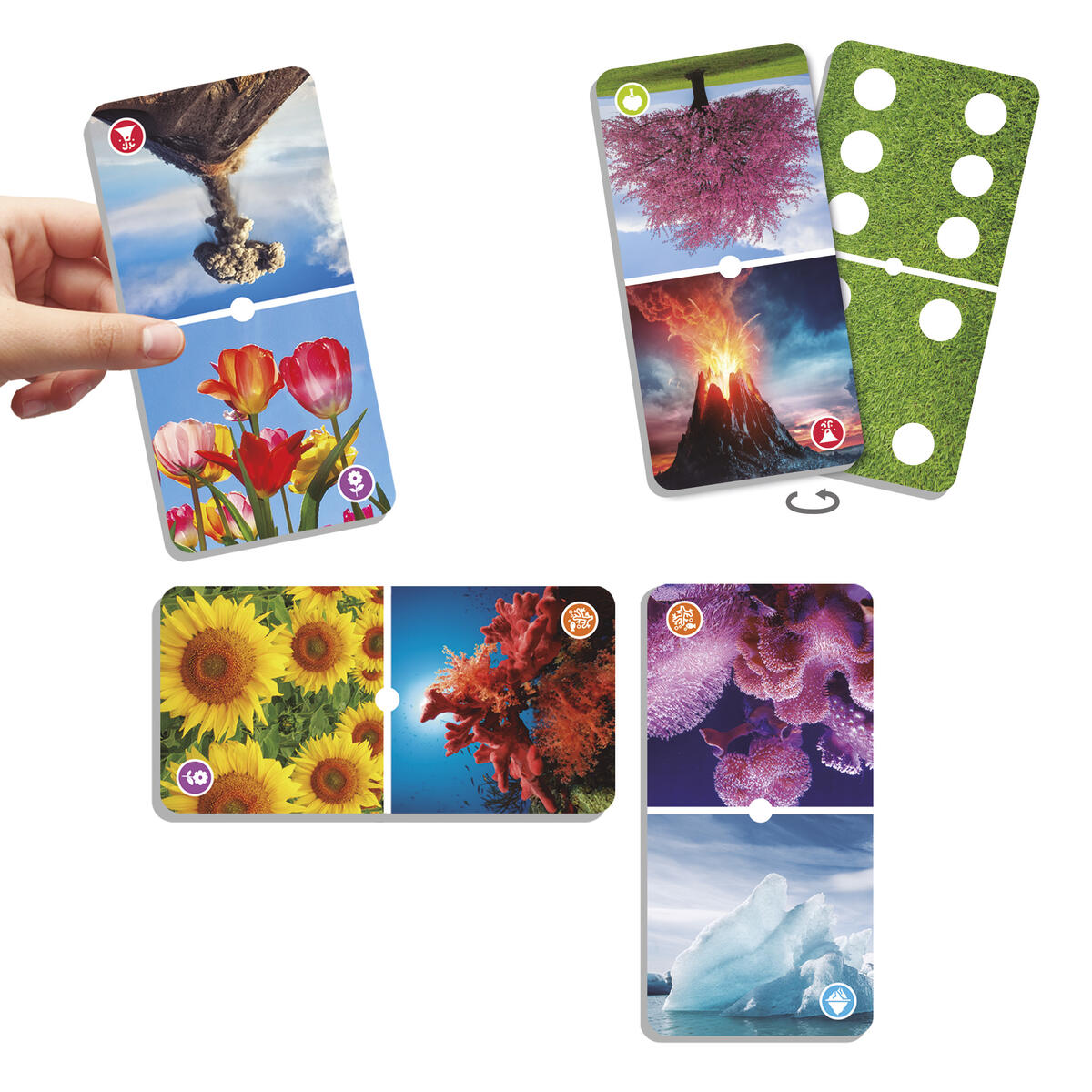 Domino Naturens Under - spel - Bild 3