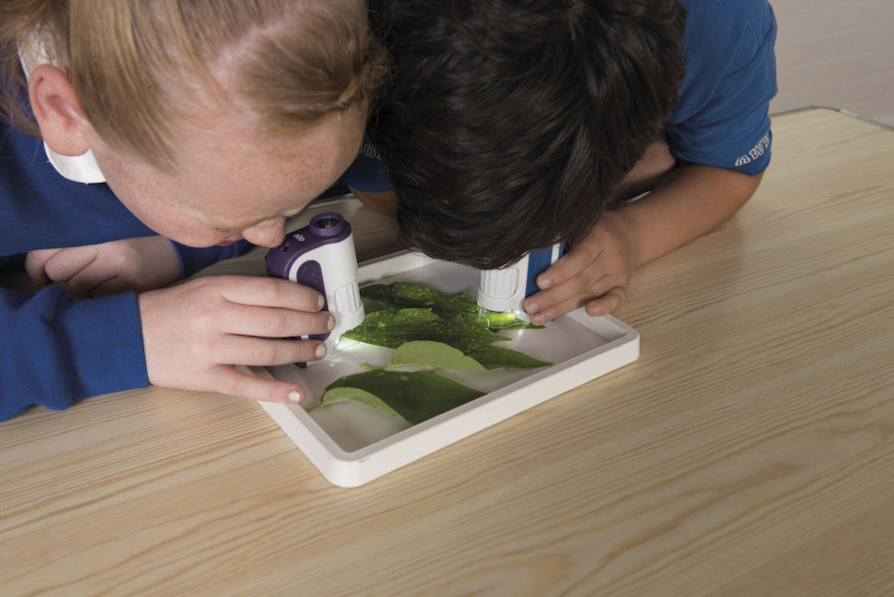 Mikroskop handmodell, 6 st/fp - Bild 3