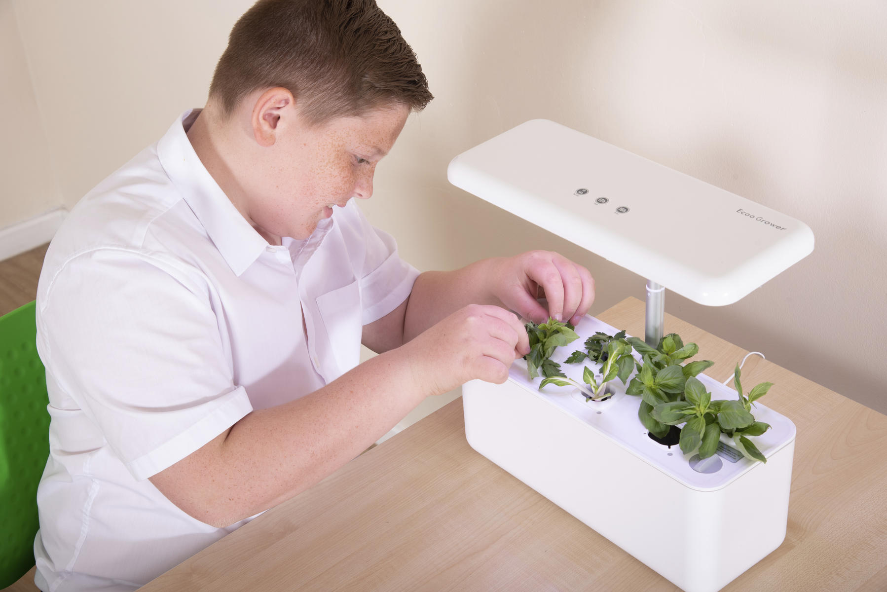 Hydroponic System - Bild 2