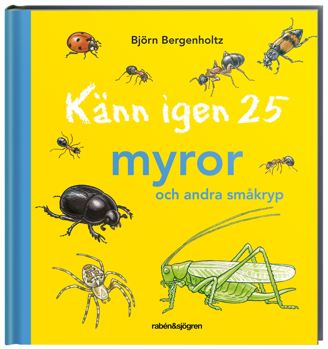 Känn igen 25 myror och andra småkryp - Bok
