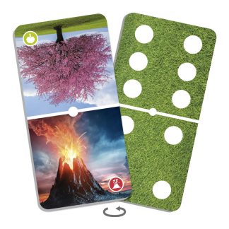 Domino Naturens Under - spel