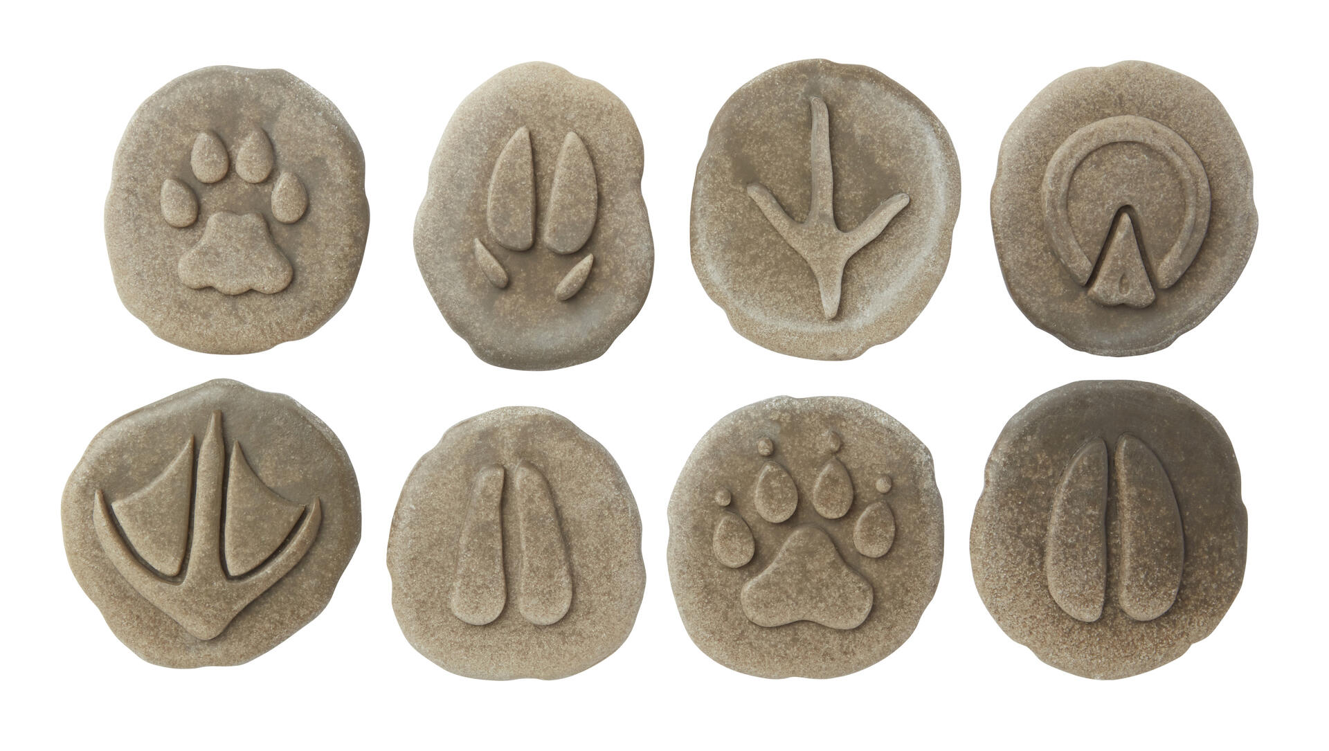 Undersök fotspår från bondgården - Bild 2