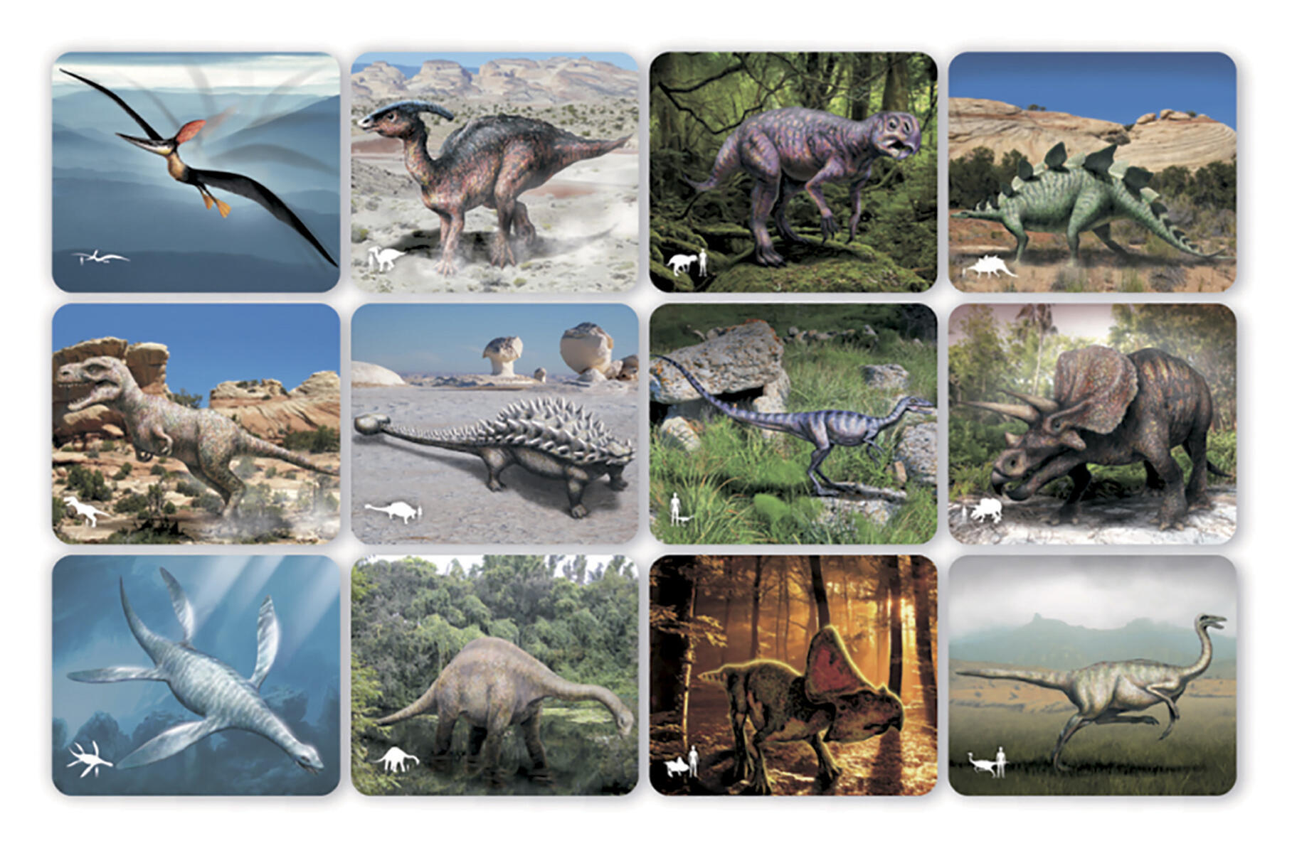 Röntgenbilder Dinosaurier - Bild 3