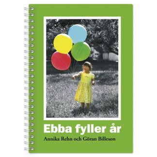 Ebba fyller år Bok