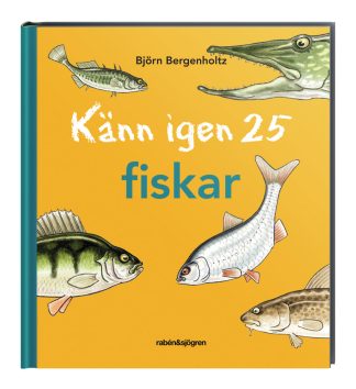 Känn igen 25 fiskar - Bok