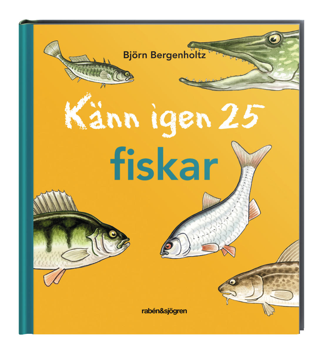 Känn igen 25 fiskar - Bok