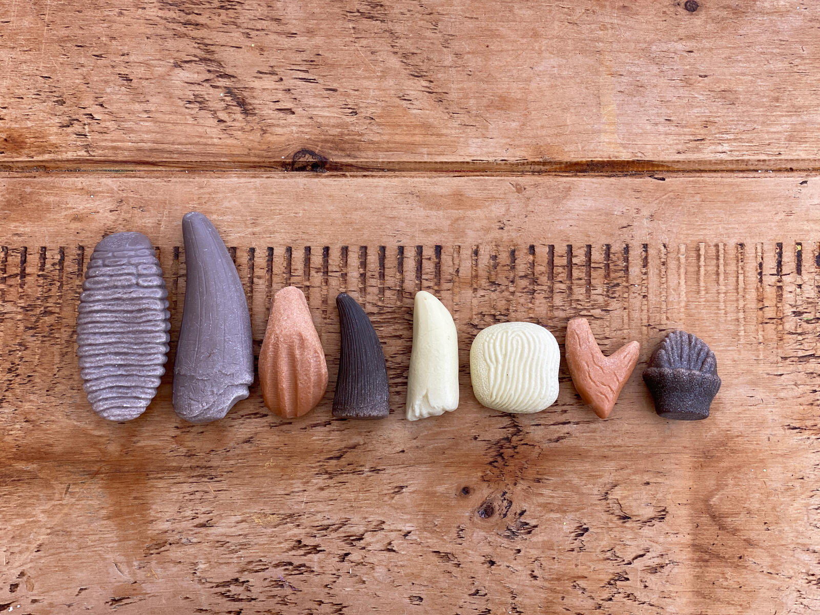 Förhistoriska tänder av sten 8st - Bild 5