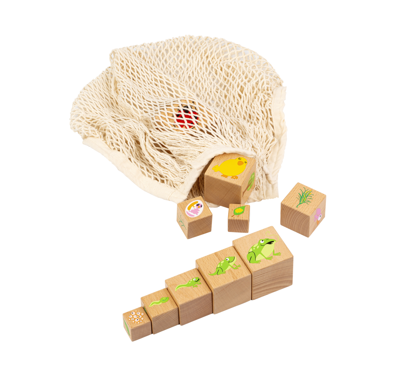 EDUCO Livscykler klossar