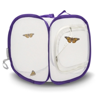 Fjärilar startkit - nätbur och burk med larver